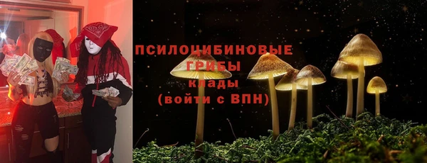 дурь Дмитриев