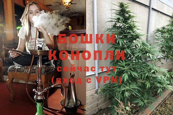 спайс Дмитровск