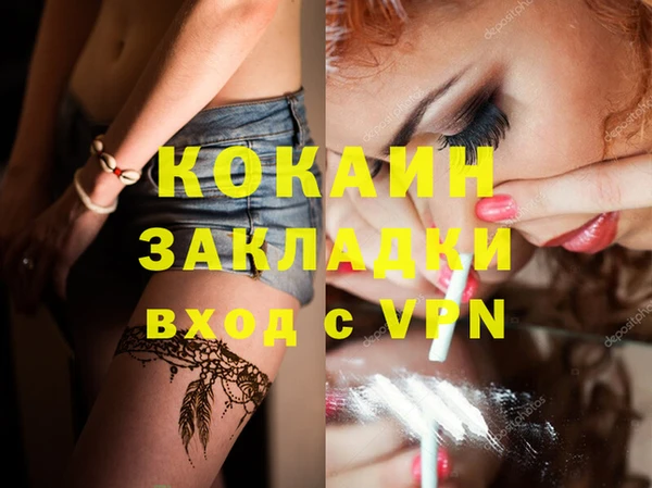 дурь Дмитриев