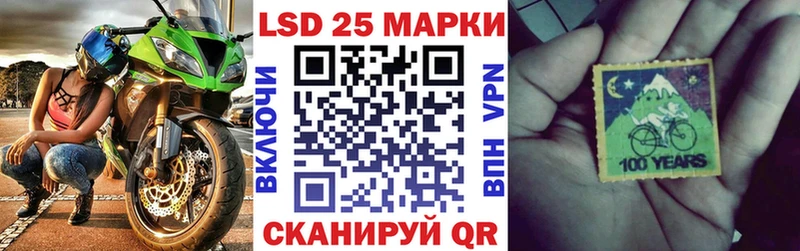 где купить наркоту  Светлогорск  Марки 25I-NBOMe 1,5мг 
