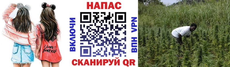 Бошки Шишки THC 21%  продажа наркотиков  Светлогорск 